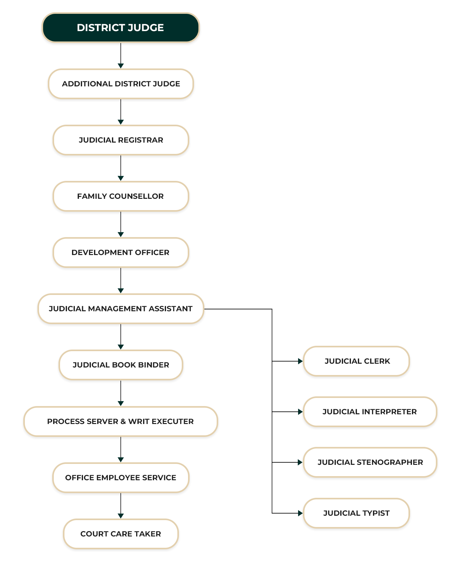 District Court Attanagalle ORGANIZATIONAL STRUCTURE
